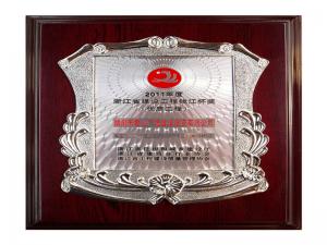 2011年度省建設工程錢江杯獎——籌建的愛山廣場（步行街區(qū)）1#、3#標段